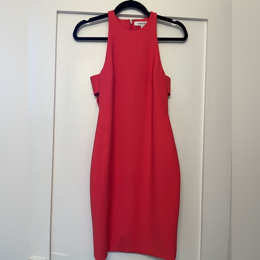 Elizabeth and James dress